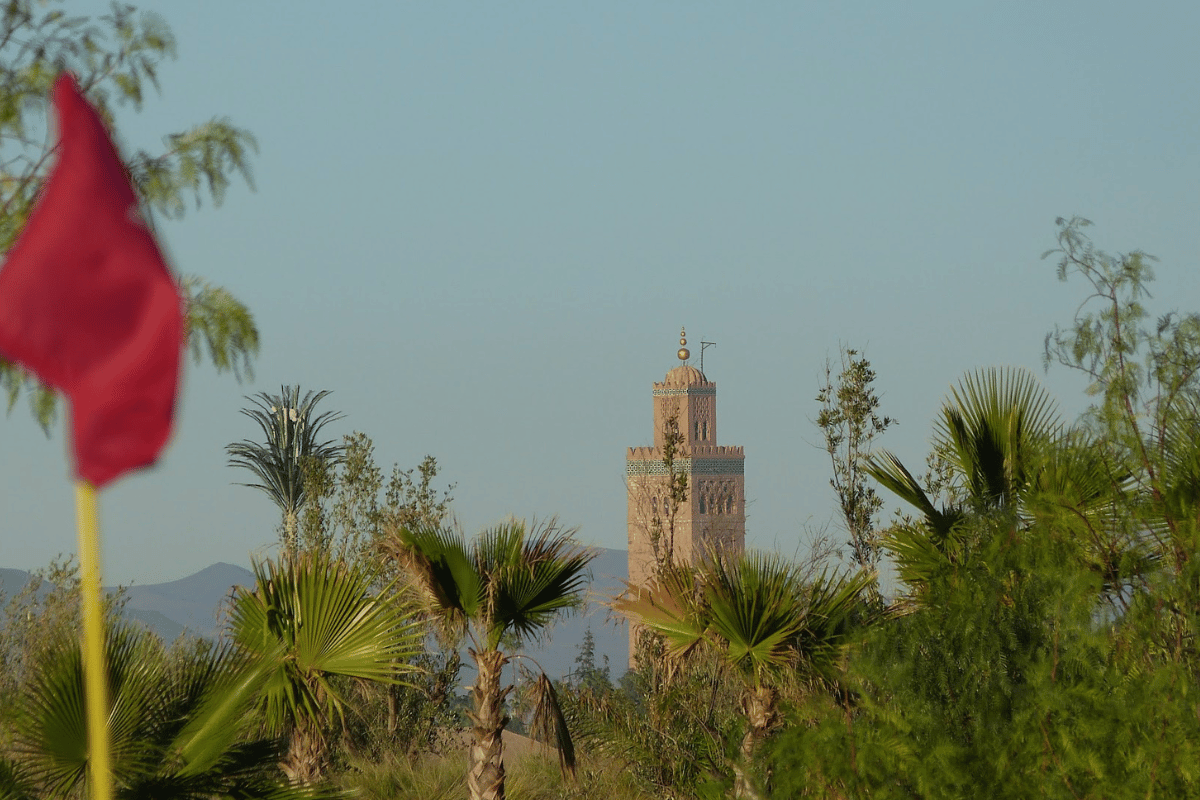 Riad WOW